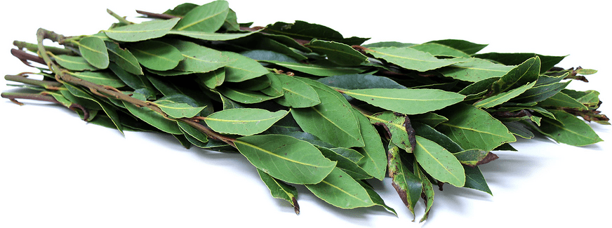 bunch of california bay leaves