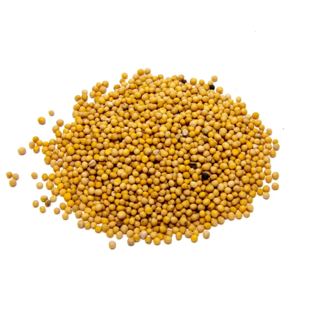 Mustard Seeds: Famous Asian Spices