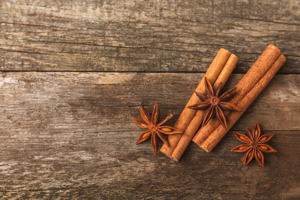 Cinnamon Sticks And Anise On A Textured Background 