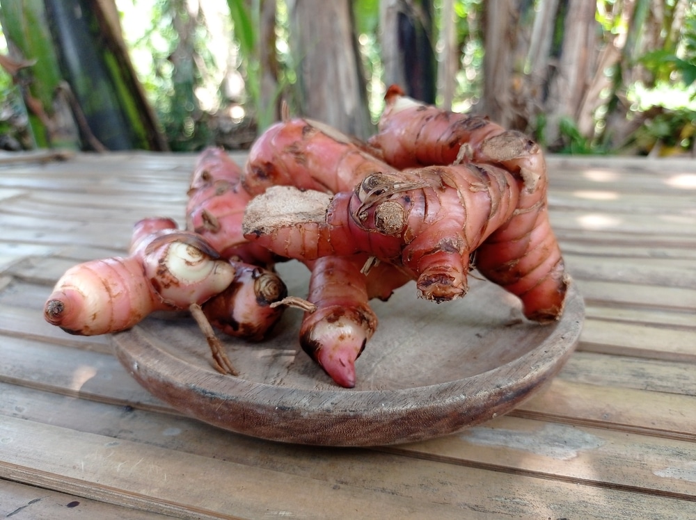 Red Galangal Is Placed On A Wooden Mortar