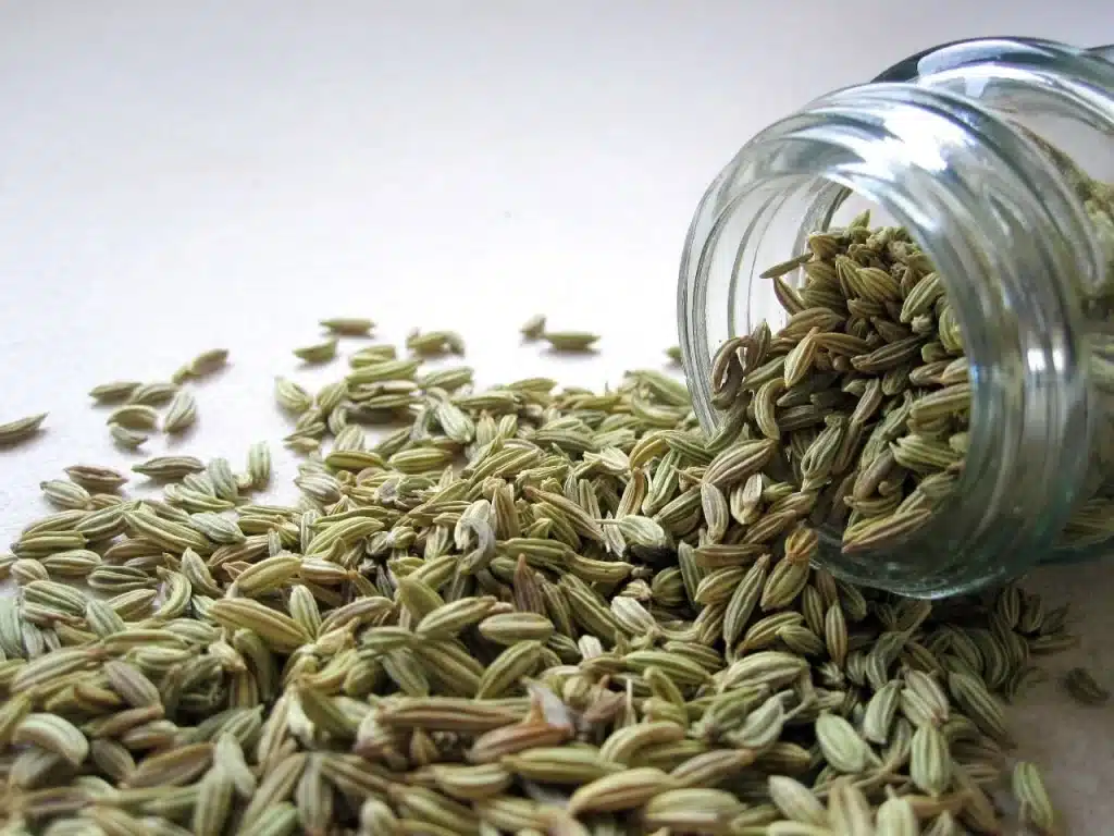 fennel seeds in a jar