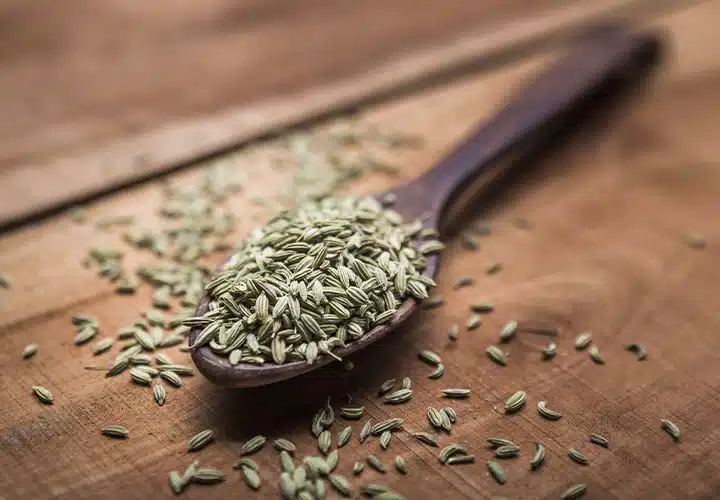 spoon of fennel seeds