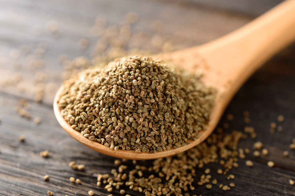 Celery seed in spoon