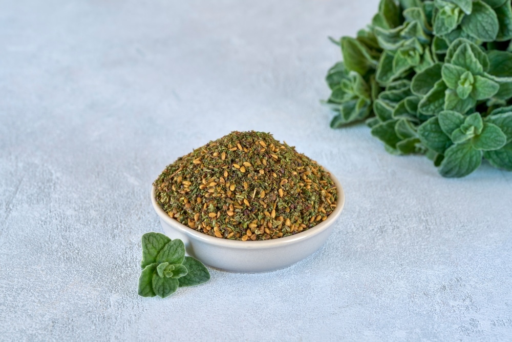 Mixed Spice Zaatar Or Zatar with Fresh Zaatar Leaves