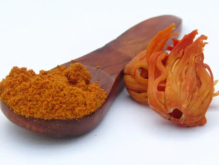 whole mace spice along with gronded mace powder in a wooden spoon