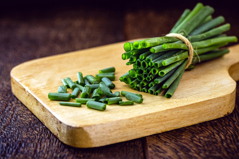 Allium schoenoprasum, popularly known as chives,chopped and placed on a wooden board