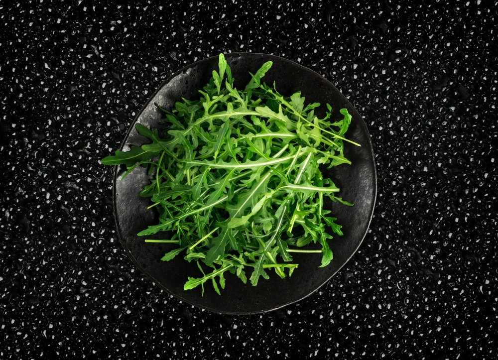 Arugula on Black Plate