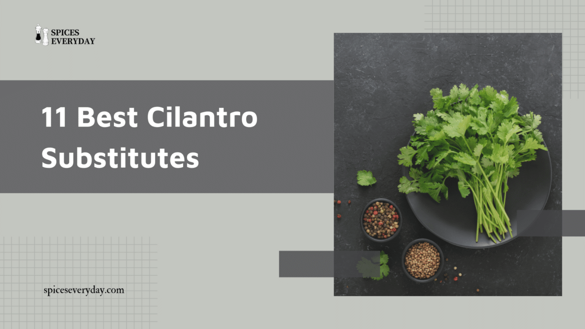 Best Cilantro Substitutes