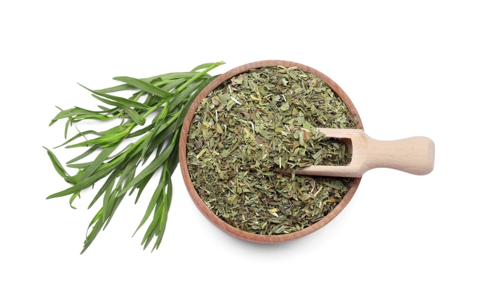 Bowl of dry tarragon, scoop and fresh leaves isolated on white, top view 