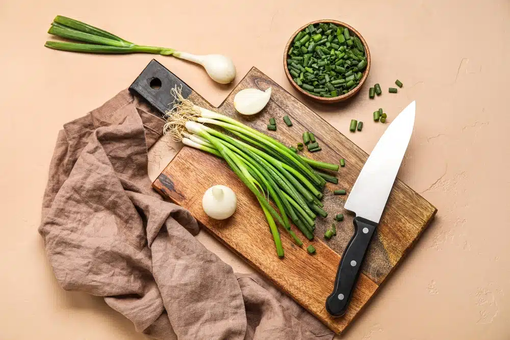 Composition With Green Onion On Color Background