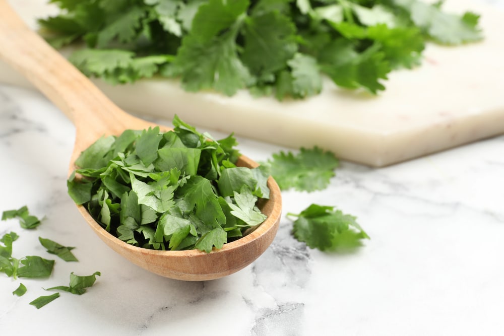 Cut fresh green cilantro and wooden spoon on white marble table,