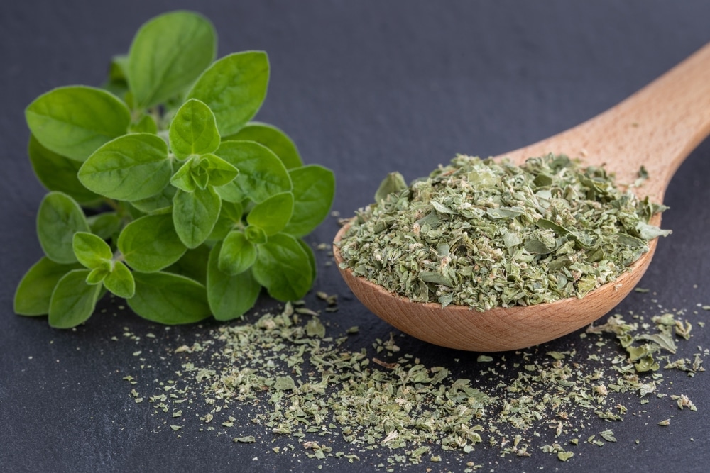 Dried Marjoram Or Oregano On A Black Background Fresh Marjoram