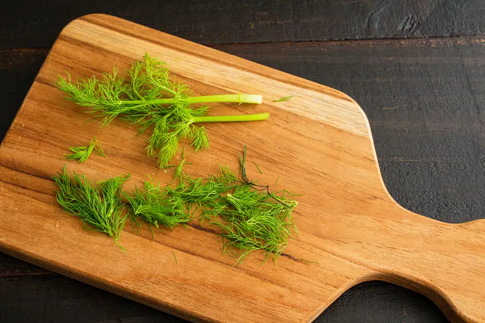 Fennel Fronds On A Cutting Board: Sprigs Of Raw Fennel