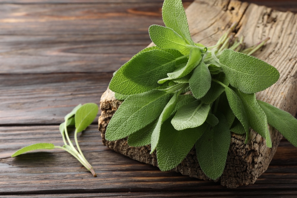 Green Sage Leaves On Wooden Table Closeup