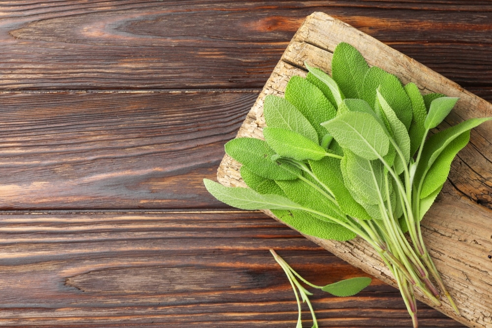 Green Sage Leaves On Wooden Table Top View 