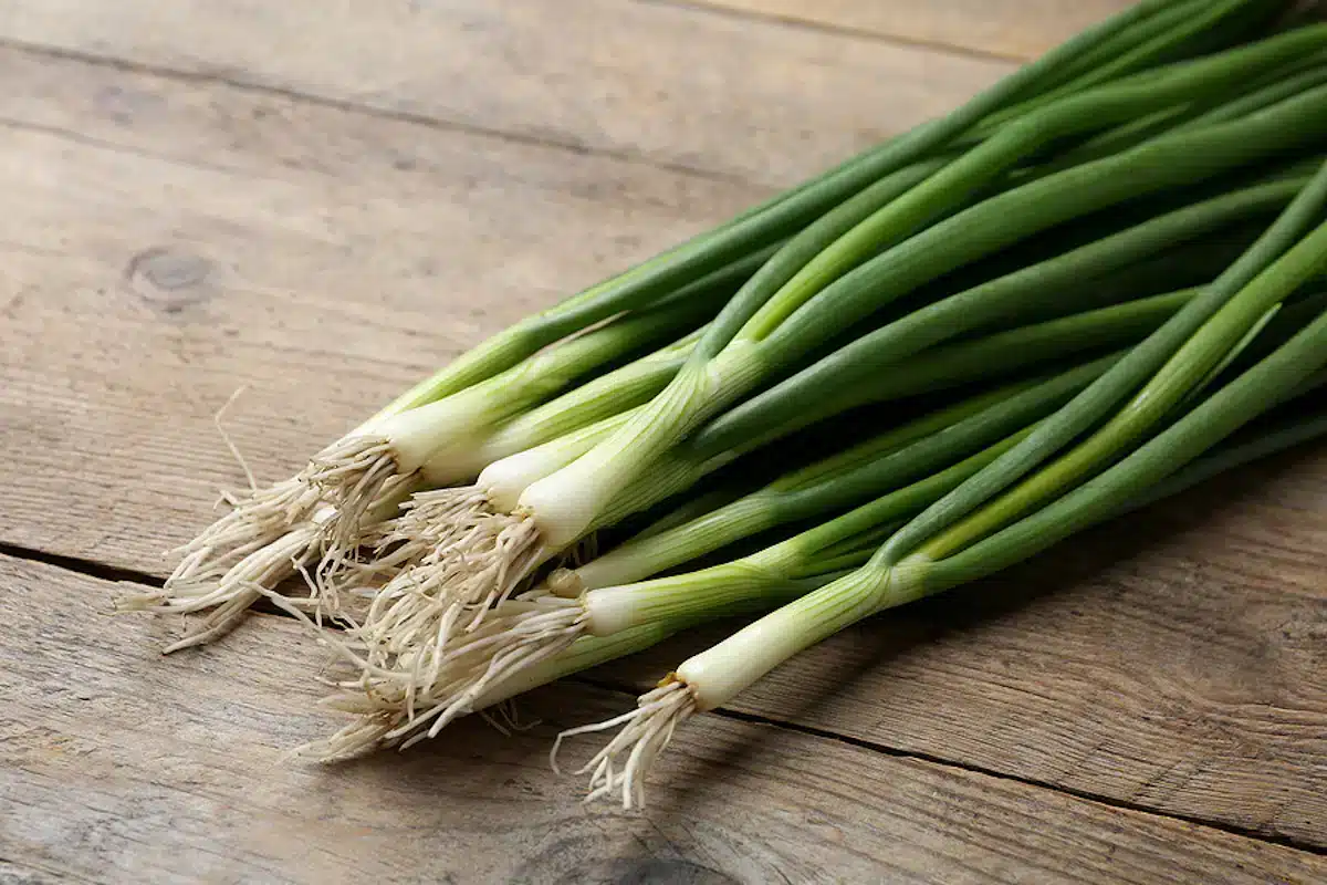 Fresh Green Spring Onions On Wooden Table Closeup