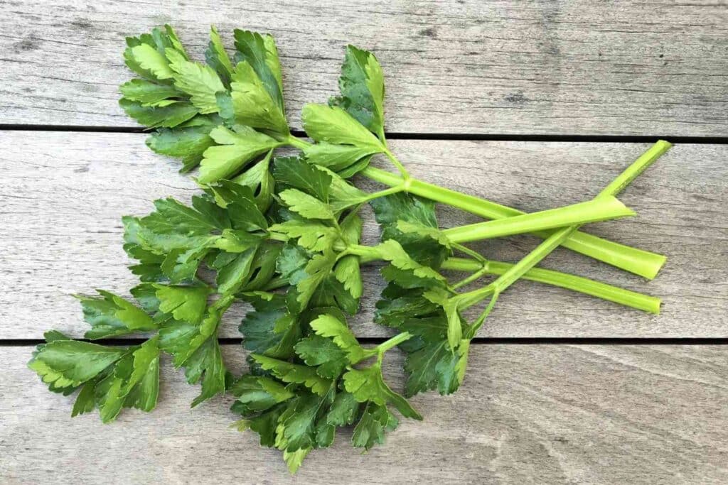 celery leaves on a wooden surface