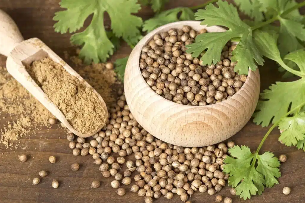 coriander seeds and powder