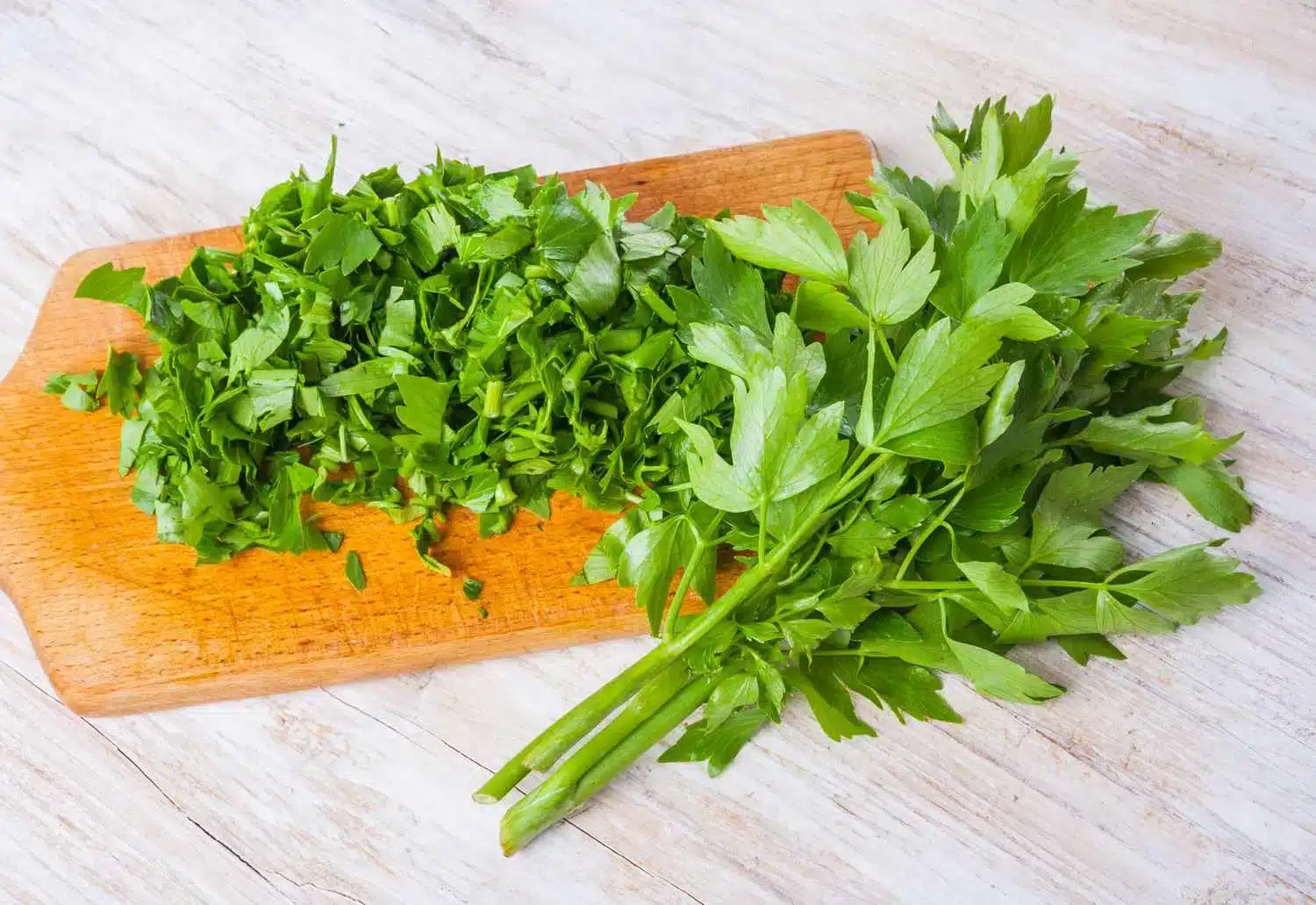 cut lovage placed on cutting board some fresh placed aside