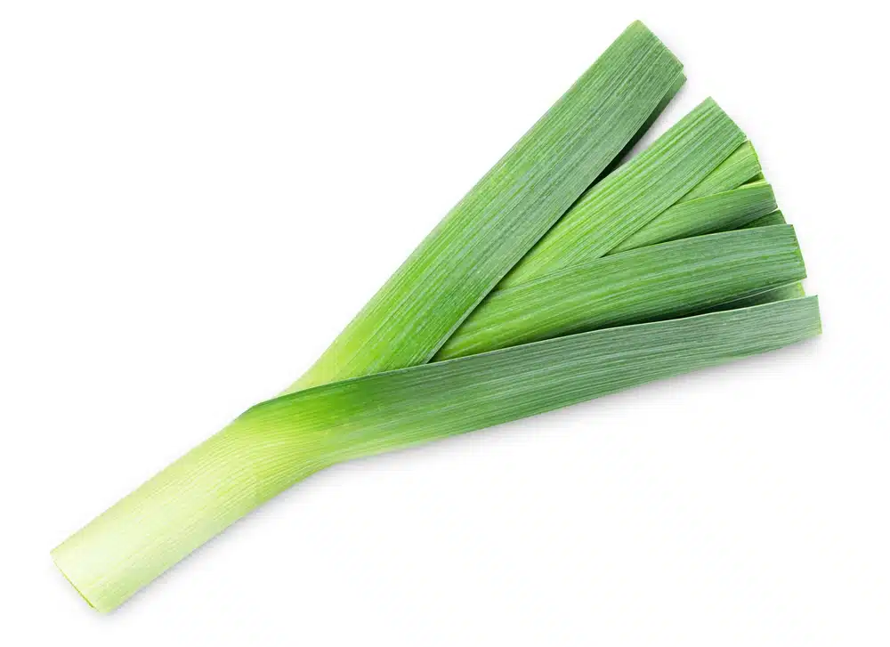 Fresh Leek On A White Isolated Background