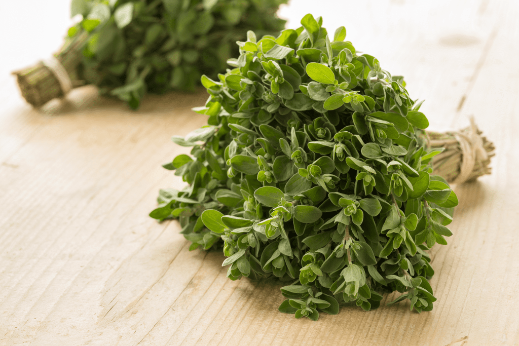 fresh marjoram