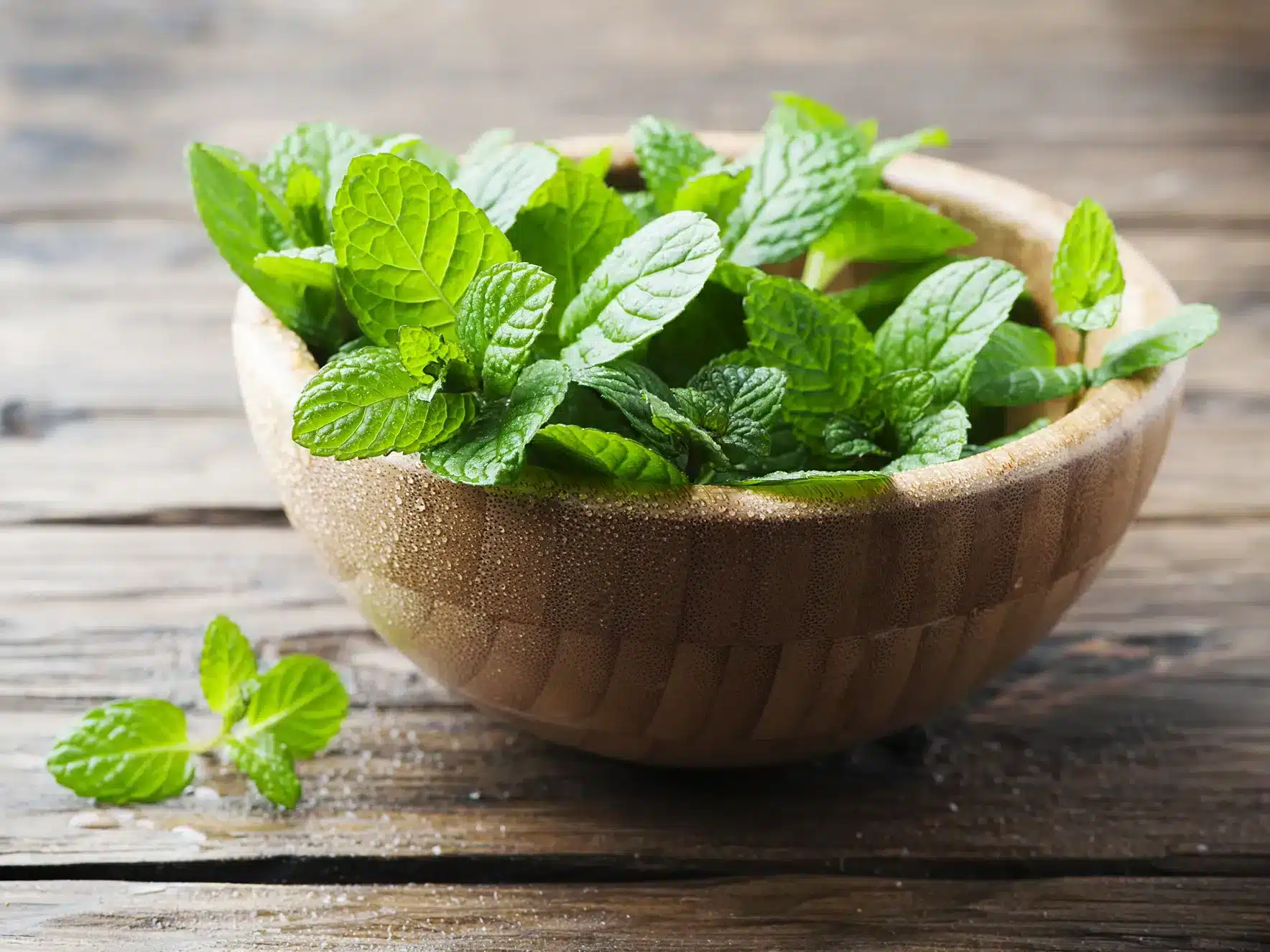 fresh mint leaves in a wooden bowl