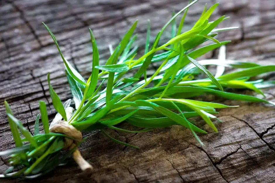 fresh tarragon