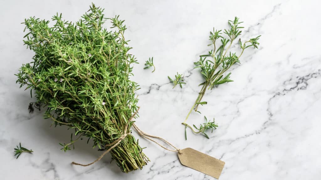 Thyme Herb Bunch Bouquet Of Fresh Thymes On Light Marble