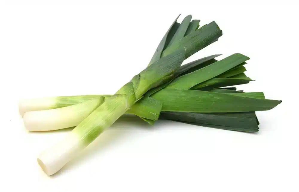 leeks placed in front of white background