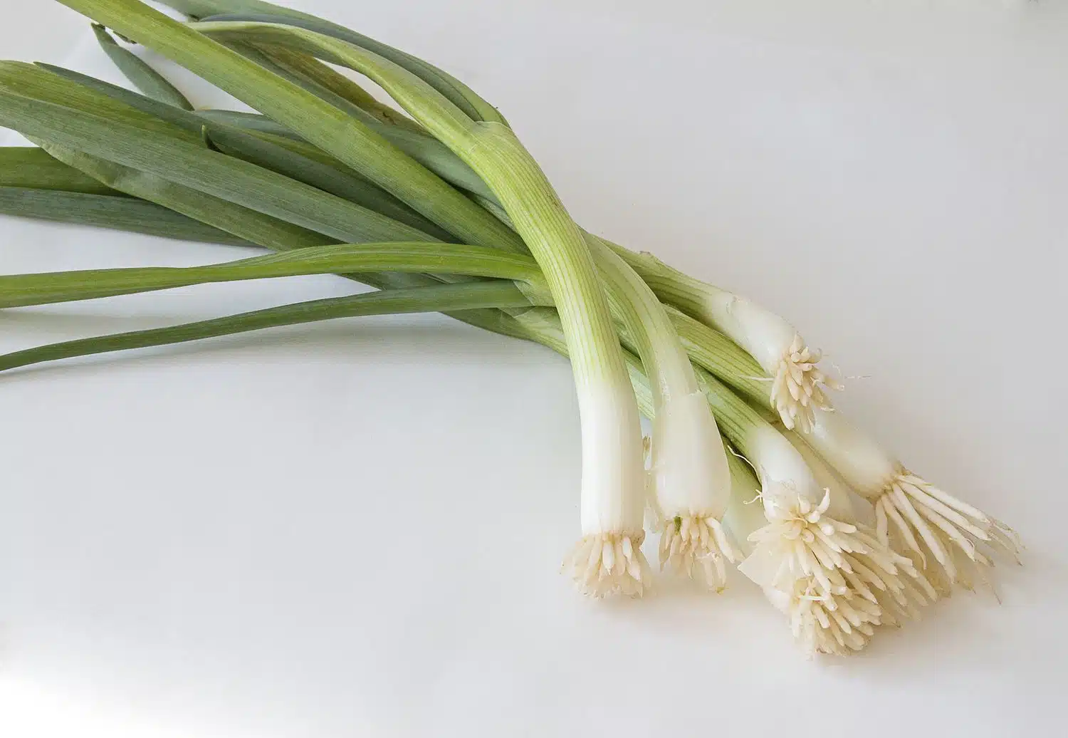 scallions