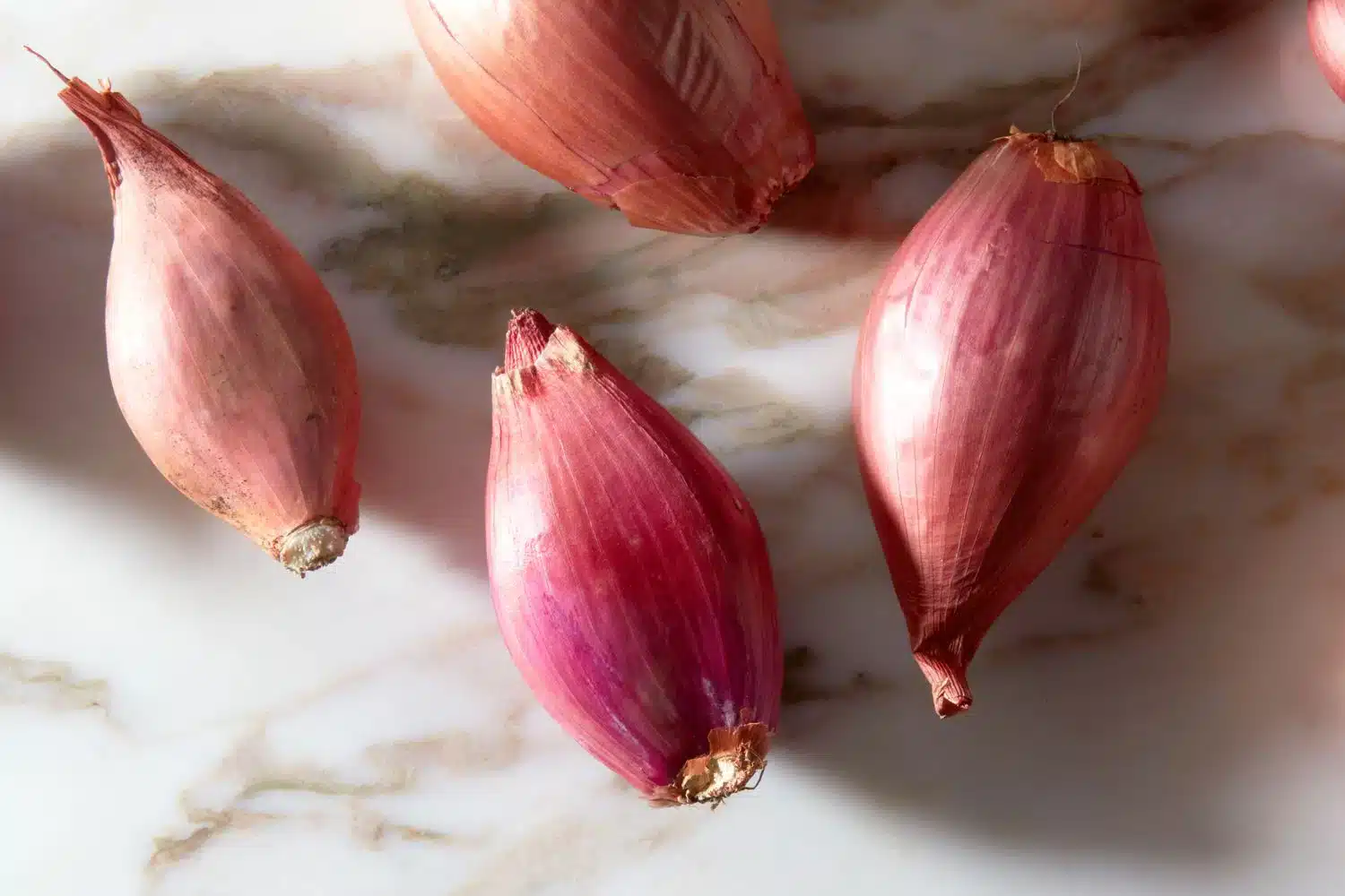 shallots on a marble countertop