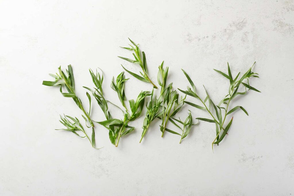 tarragon leaves on a white surface