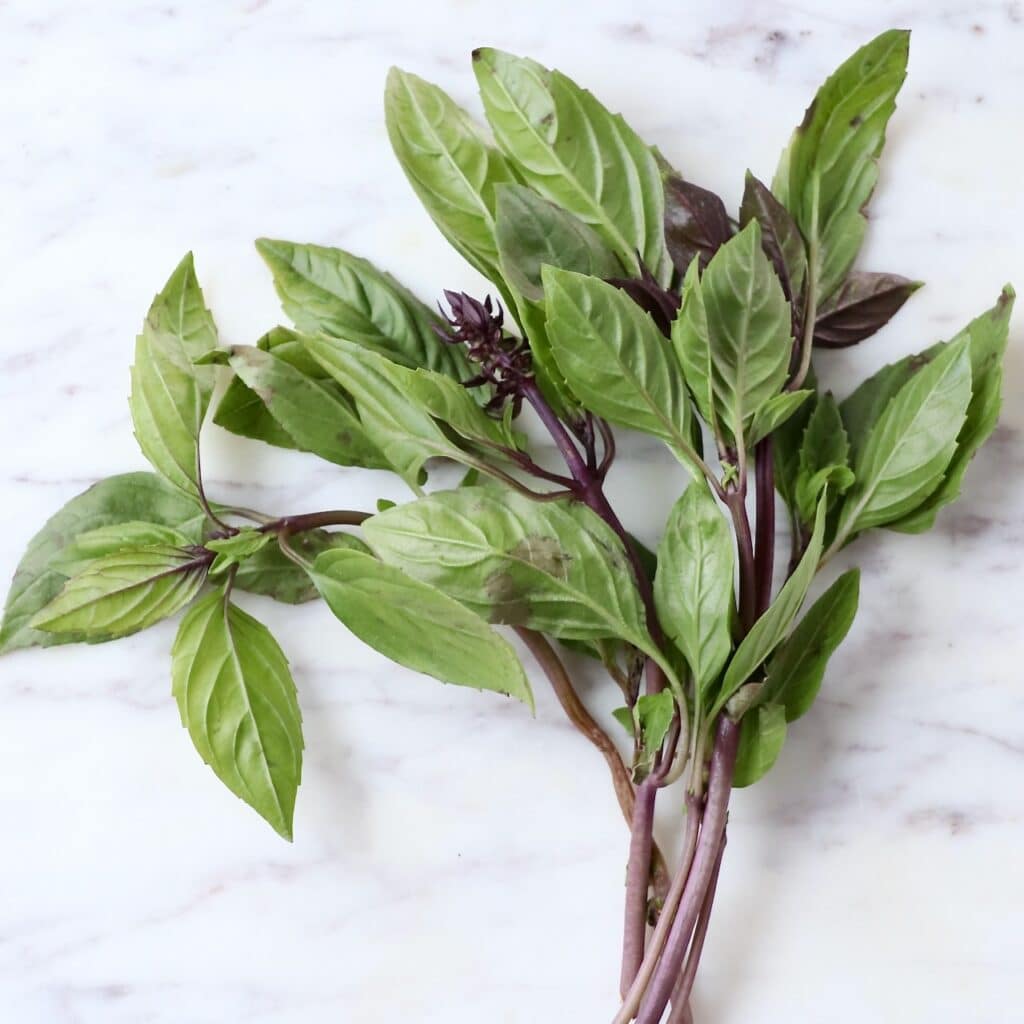 thai basil leaves on a marble countertop