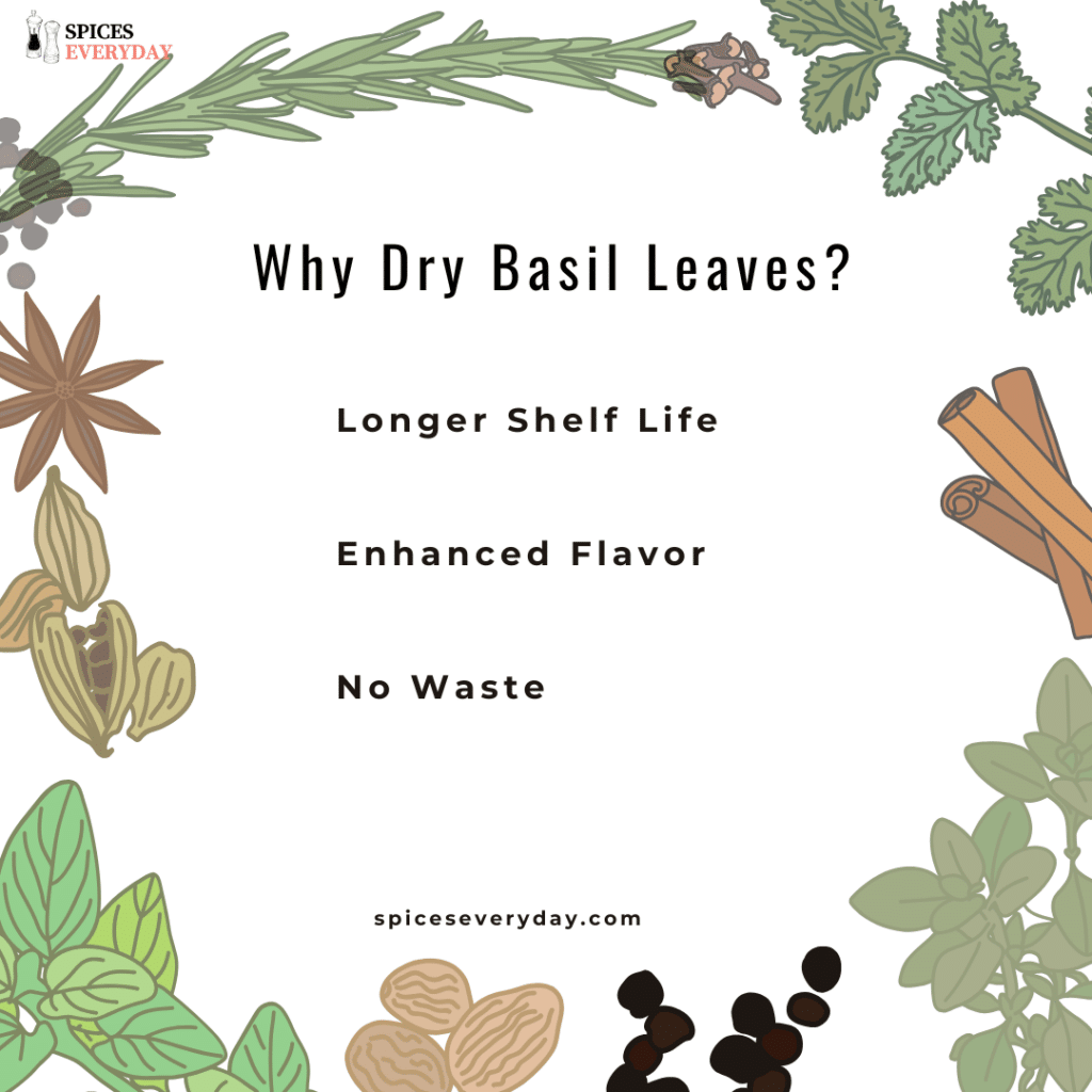 Why Dry Basil Leaves