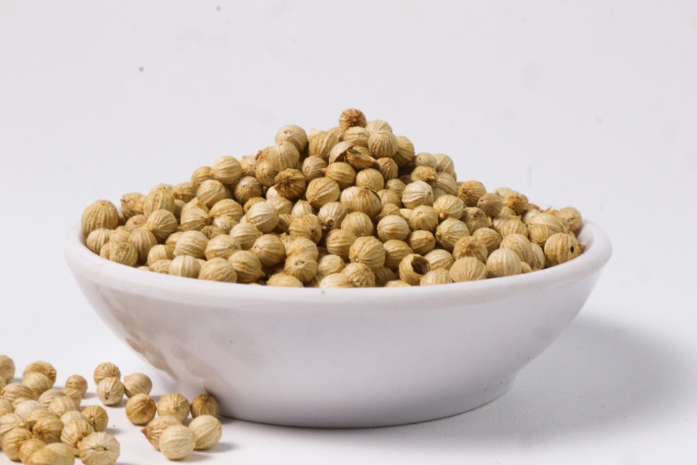 Pile of coriander seeds or ketumbar on white bowl isolated on white background