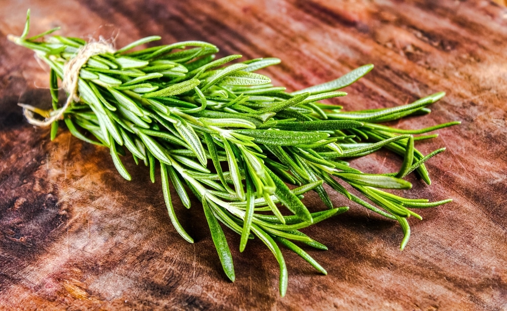 Rosemary On A Wooden Background 