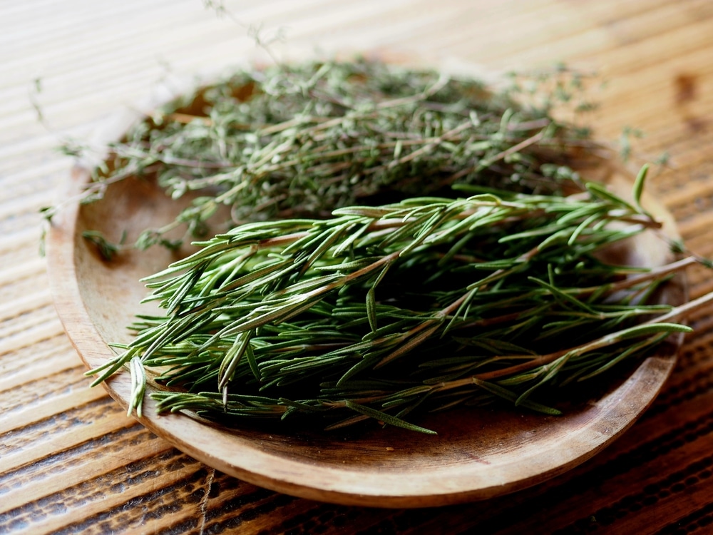 dried rosemary and thyme herb leaves for cooking on clay plate