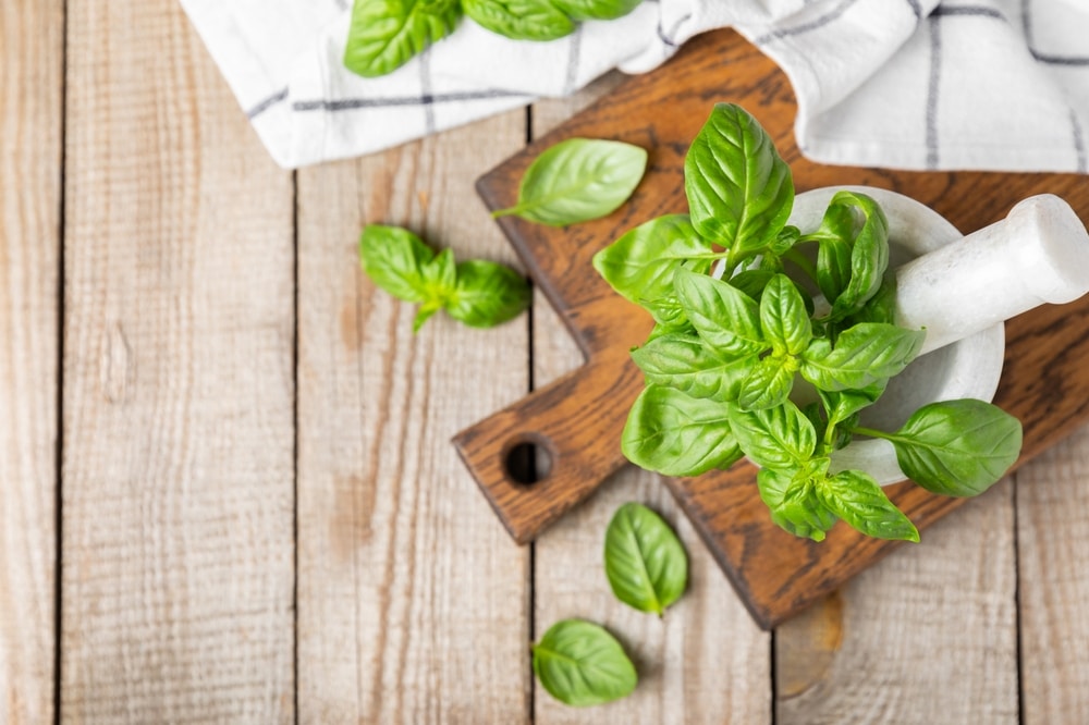 Fresh green basil in a mortar on a textured wooden background.